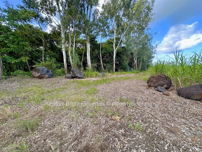 Tranquil Agricultural Land Near the Airport – A Unique Nature Retreat Opportunity
