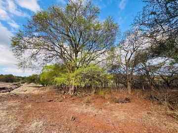 Residential Land