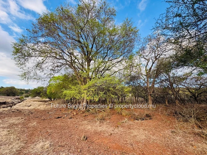 A Rare Opportunity in One of the West Coast’s Most Exclusive Estates