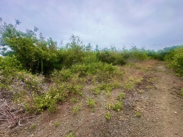 Residential Land