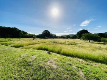 Residential Land