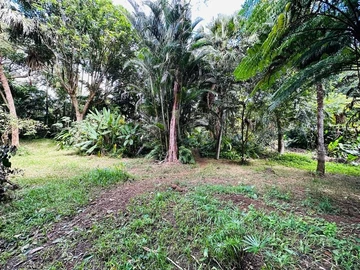 Residential Land