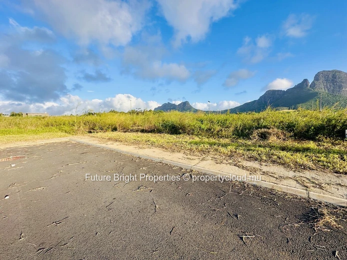 An Exceptional Living Environment in Pierre Fond