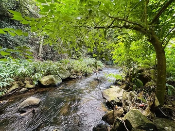 Residential Land