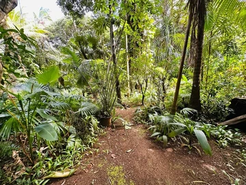 Residential Land