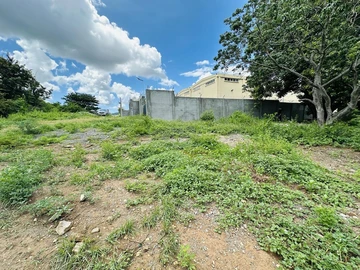 Commercial Land