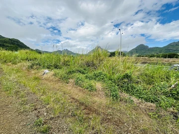 Agricultural Land