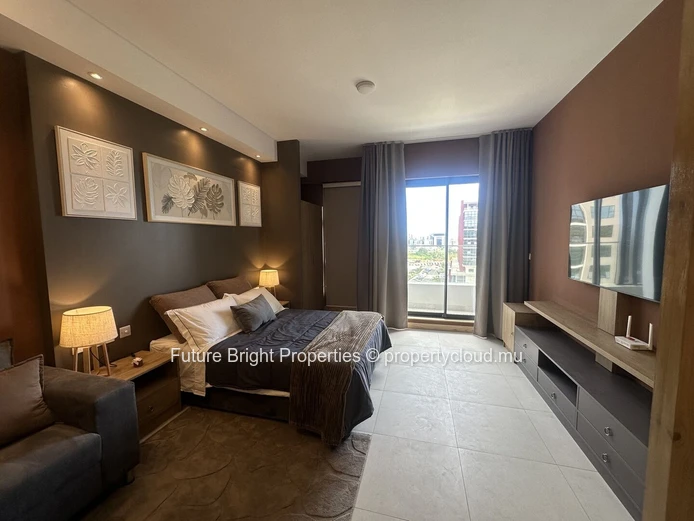 Furnished 1-Bedroom Apartment for Rent in Moka