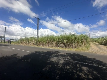 Agricultural Land