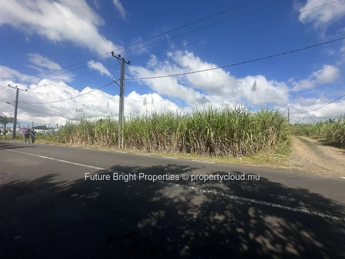 16,292 m2 Agricultural Land for Sale in Melrose