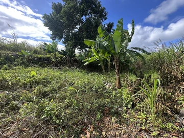 Agricultural Land