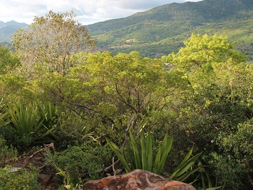 Residential Land