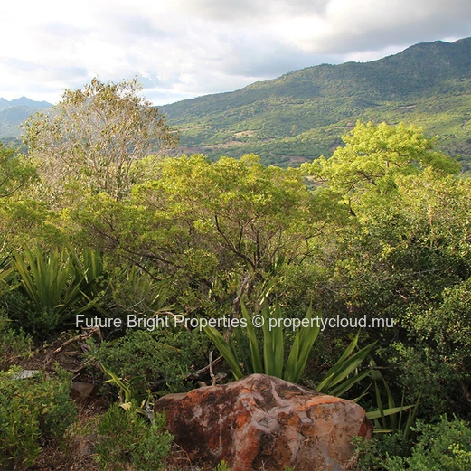Premium Residential Plot for Sale – Domaine de Palmyre, Petite Rivière Noire (Sole Mandate)