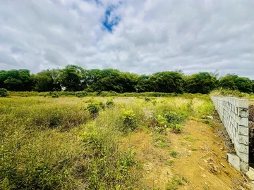 Agricultural Land