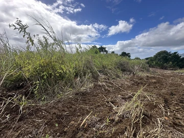 Agricultural Land