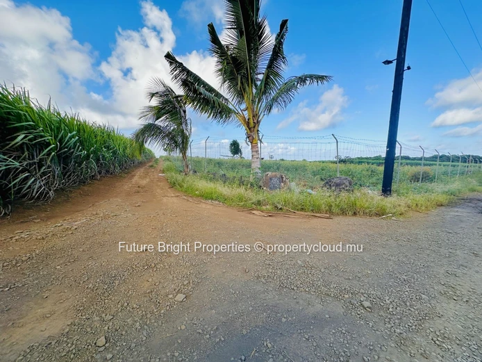 Tranquil Agricultural Land Near the Airport – A Unique Nature Retreat Opportunity