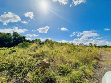 Agricultural Land