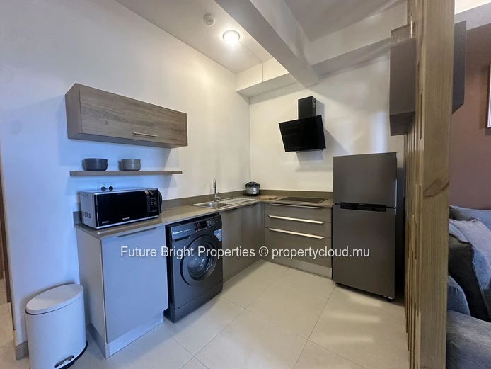 Furnished 1-Bedroom Apartment for Rent in Moka