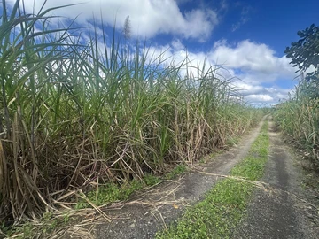 Agricultural Land