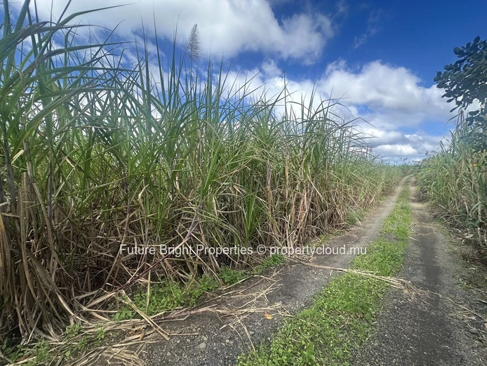 16,292 m2 Agricultural Land for Sale in Melrose