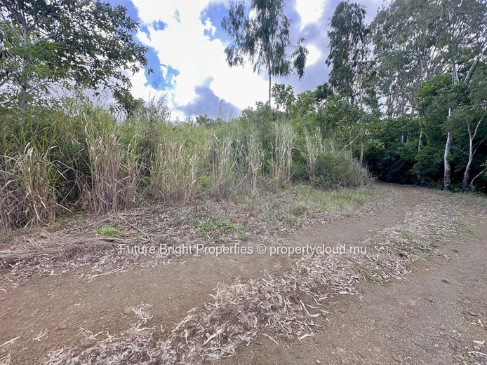 Tranquil Agricultural Land Near the Airport – A Unique Nature Retreat Opportunity