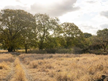 Residential Land