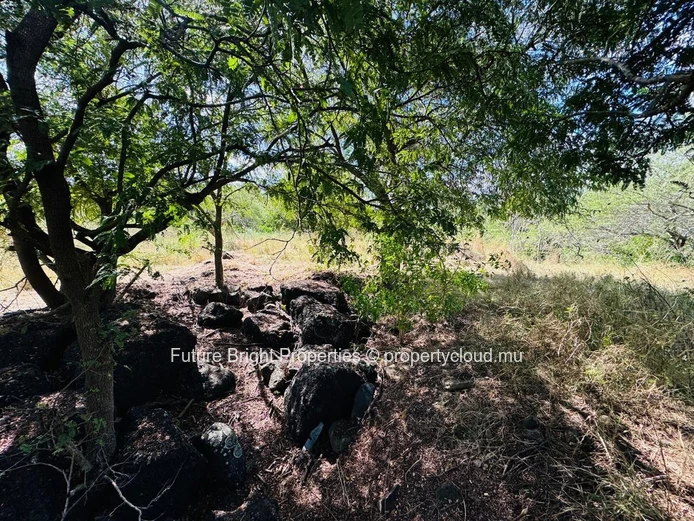 Beautiful Land Opportunity in Domaine TEREMINALIA – Morcellement Belouguet