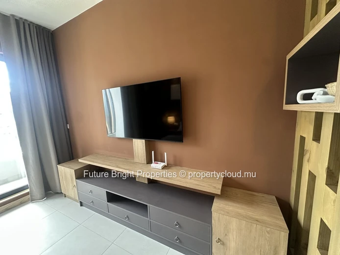 Furnished 1-Bedroom Apartment for Rent in Moka
