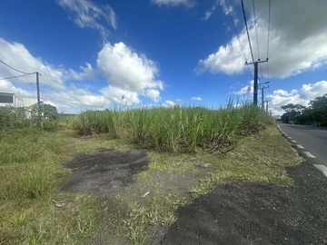 Agricultural Land