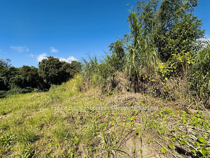 Spacious Land in Phoenix – Ideal for Residential Project with Large Garden Potential