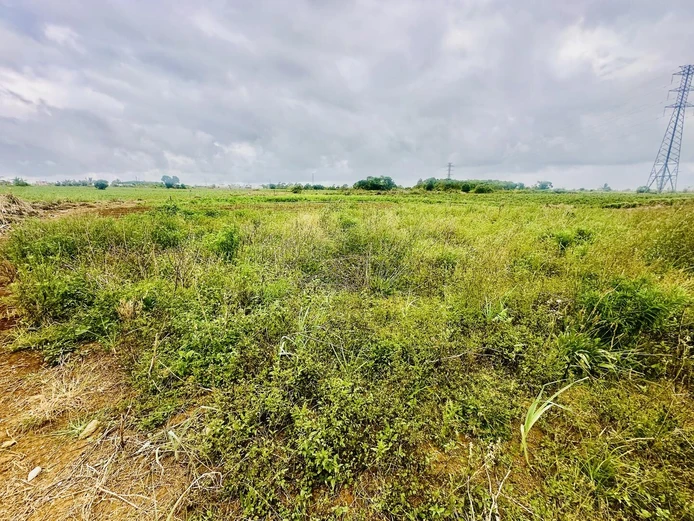 961M² Of Agricultural Land In La Laura – Peaceful Setting Near St Pierre