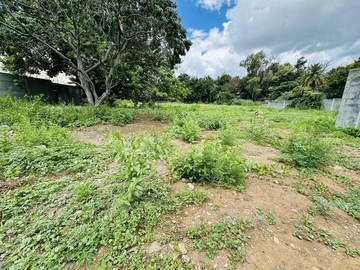 Commercial Land