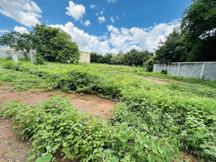 Prime Industrial Land for Sale – Riche Terre, Mauritius