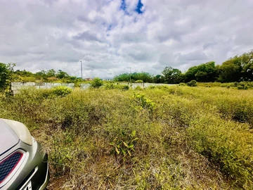 Agricultural Land