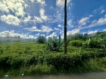 Residential Land