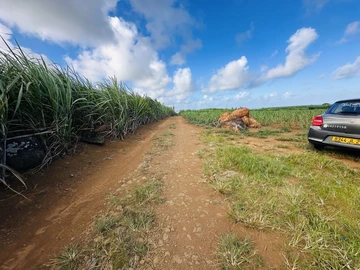 Agricultural Land