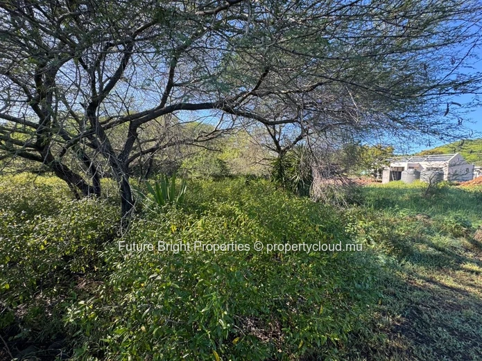 Land for Sale – Tamarin (Belouguet) 