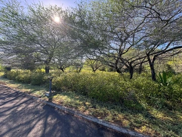 Residential Land