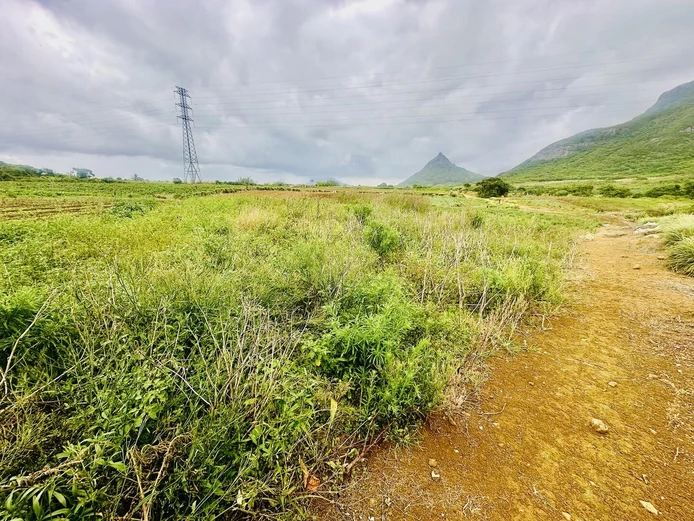 961M² Of Agricultural Land In La Laura – Peaceful Setting Near St Pierre