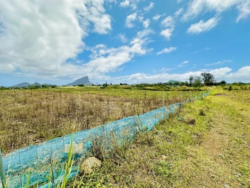Agricultural Land