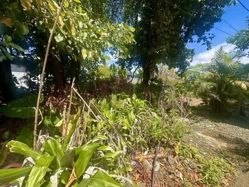 Residential Land