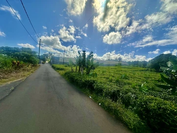 Residential Land