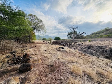 Residential Land