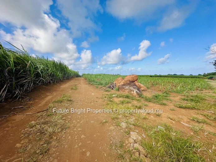 Tranquil Agricultural Land Near the Airport – A Unique Nature Retreat Opportunity