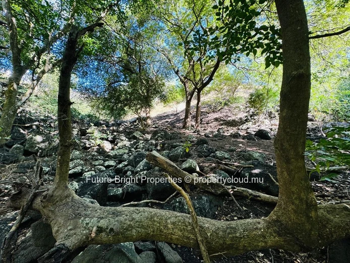 Beautiful Land Opportunity in Domaine TEREMINALIA – Morcellement Belouguet