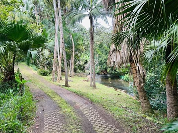 Residential Land