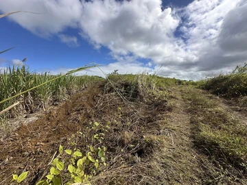Agricultural Land