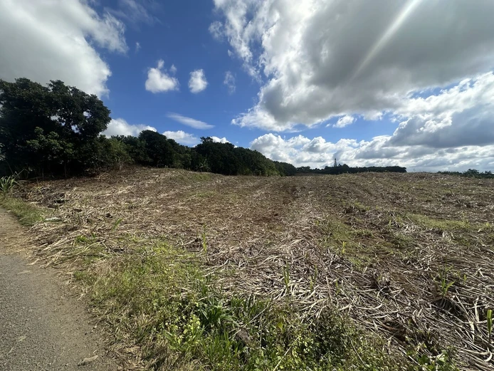 12,029m² Agricultural Land for Sale in Melrose