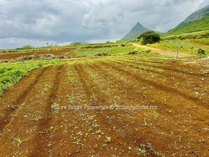 961M² Of Agricultural Land In La Laura – Peaceful Setting Near St Pierre