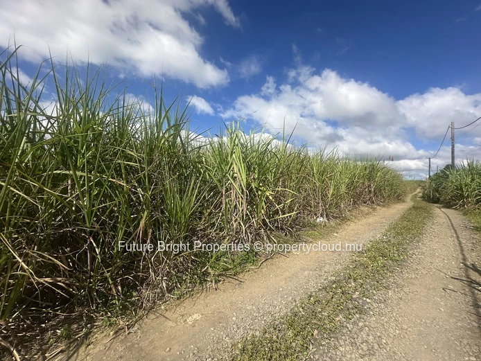 16,292 m2 Agricultural Land for Sale in Melrose